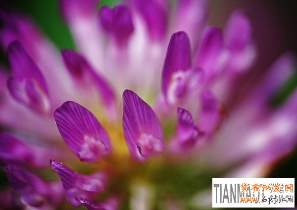 網店裝修之景深拍攝經驗教程