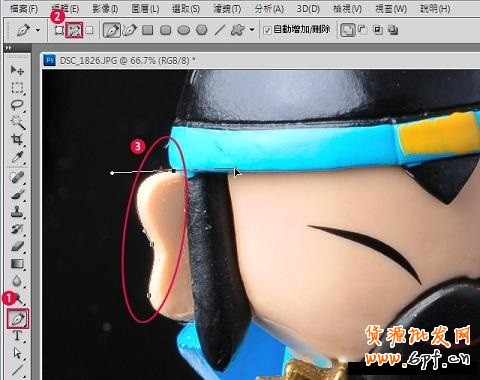 網店裝修 網店裝修