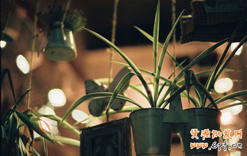 微信營(yíng)銷(xiāo)