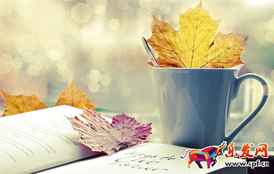 敢問2016年淘寶開店 路在何方?