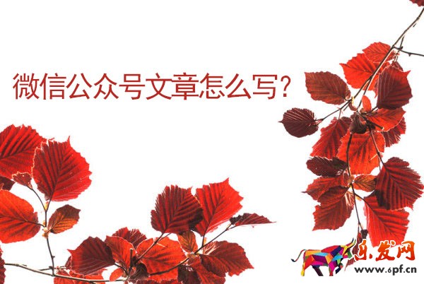 微信公眾號文章怎么寫
