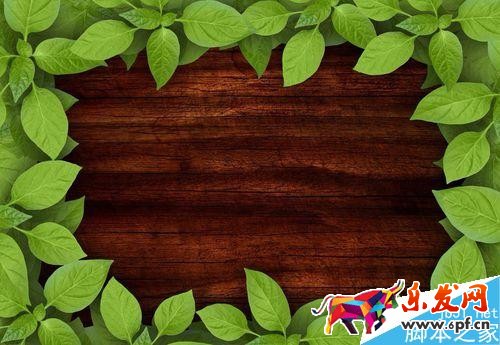 淘寶店鋪裝修;淘寶無線端首頁該如何裝修?