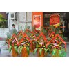 廈門花籃必選綠意海園林工程有限公司，廈門開業花籃送貨上門13779959203專業制做
