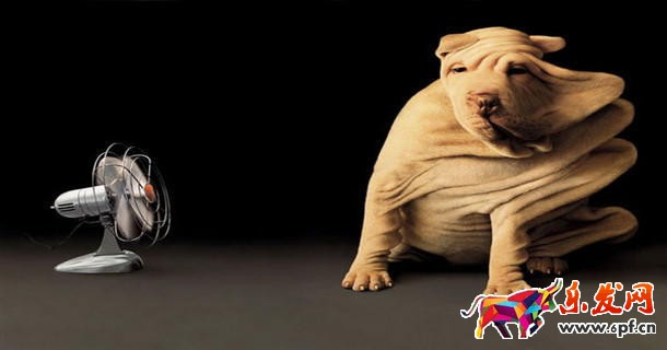 如何開好淘寶網店?運營秘籍 如何開好淘寶網店?運營秘籍