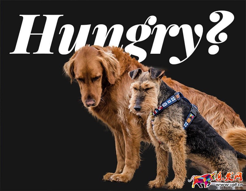 怎么用ps摳圖 怎么用ps摳圖