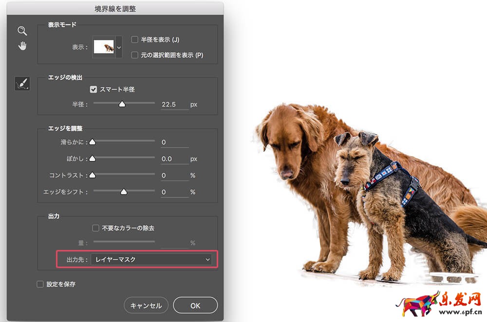 怎么用ps摳圖 怎么用ps摳圖