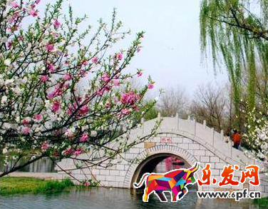 淘寶圖片如何用ps處理清晰