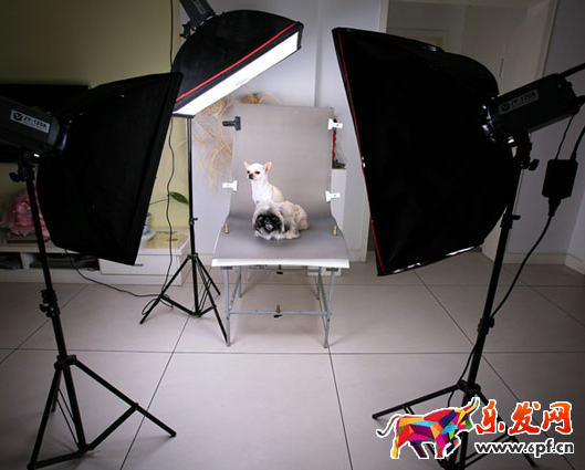 淘寶寶貝怎么拍照 淘寶寶貝怎么拍照