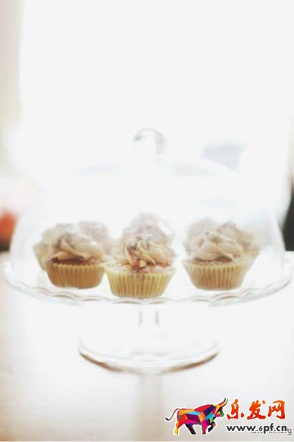 淘寶食品拍攝技巧 淘寶食品拍攝技巧