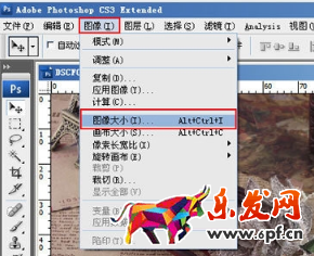 如何用ps做淘寶主圖