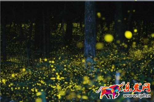 手機上怎么裝修淘寶店 手機上怎么裝修淘寶店