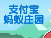 螞蟻莊園怎么防止搶食?支付寶螞蟻莊園怎么養小雞? 螞蟻莊園怎么防止搶食?支付寶螞蟻莊園怎么養小雞?