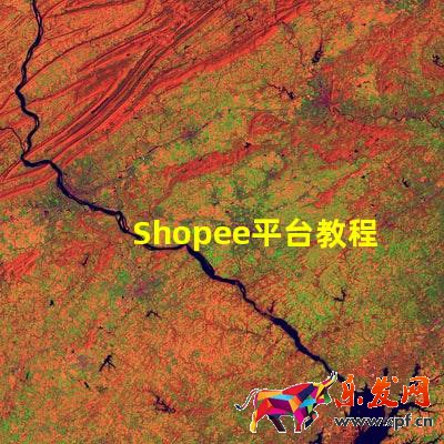Shopee平臺教程:Shopee怎么開店?Shopee如何開店鋪呢?